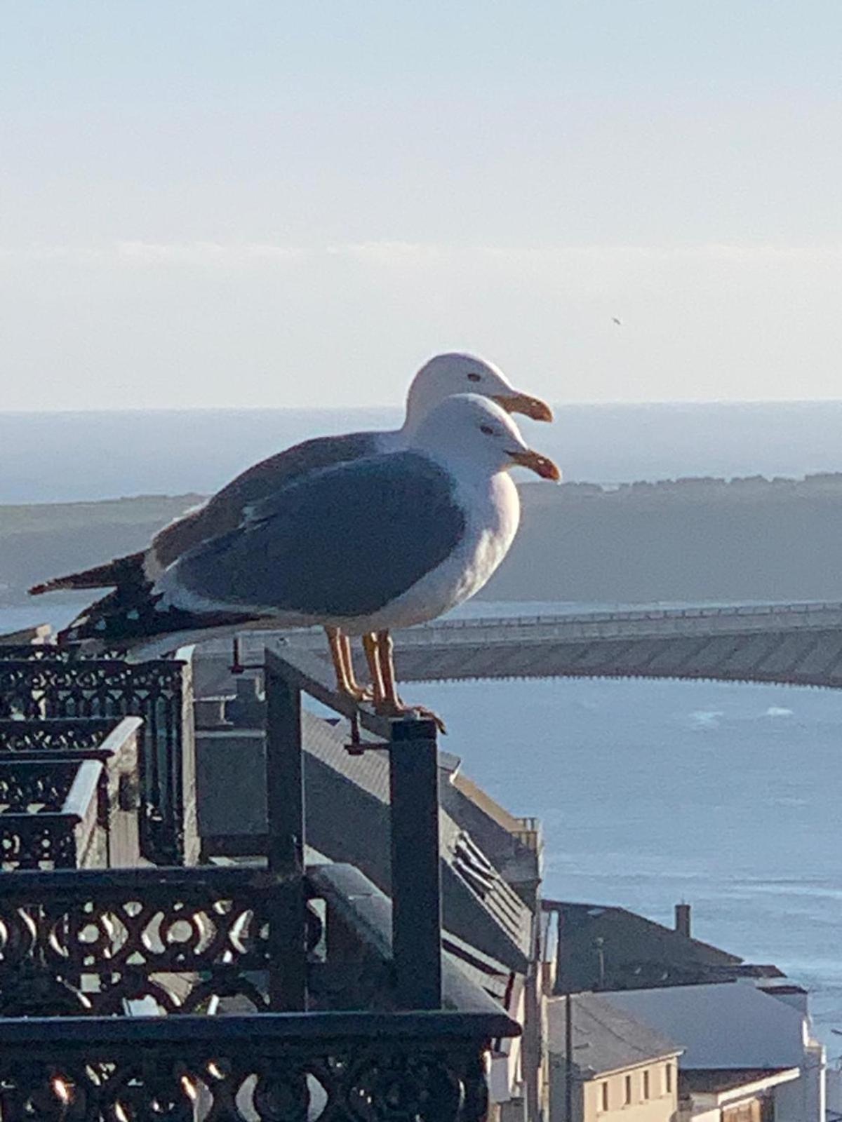 Moderno Piso Con La Mejor Terraza De Ribadeo Y Vistas Maravillosas Bagian luar foto